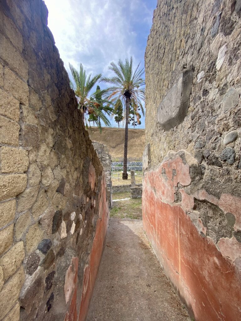 1 Giorno a Pompei: Storia, Arte e Bellezze Naturali