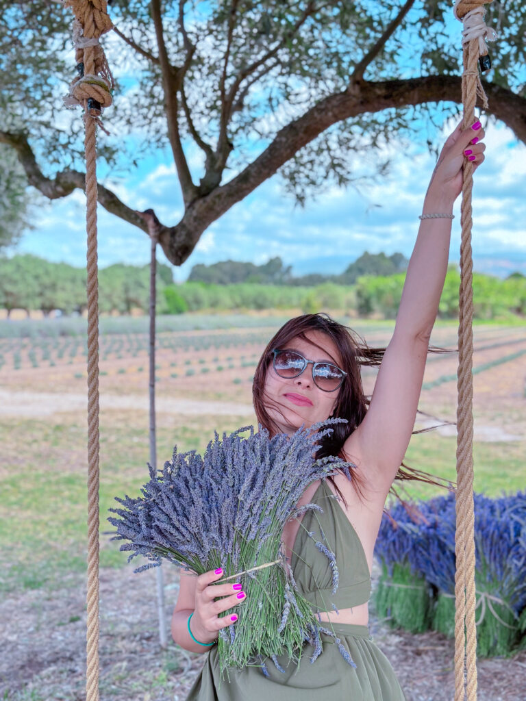 Campi di Lavanda - Sardegna