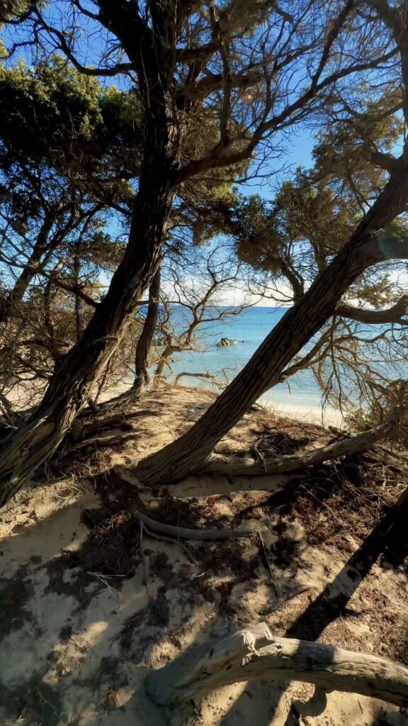 Lo scoglio di Peppino - Sardegna