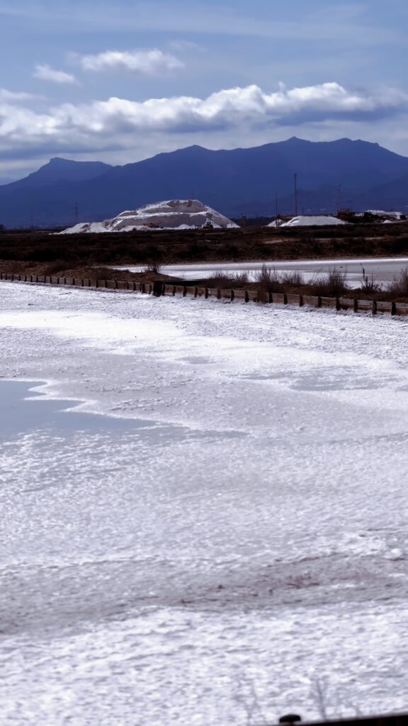 Le Saline della Sardegna: Quando e Dove Ammirare i Cristalli di Sale