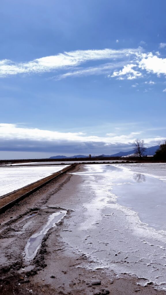 Le Saline della Sardegna: Quando e Dove Ammirare i Cristalli di Sale