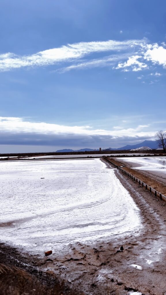 Le Saline della Sardegna: Quando e Dove Ammirare i Cristalli di Sale