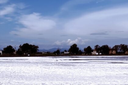 Le Saline della Sardegna: Quando e Dove Ammirare i Cristalli di Sale