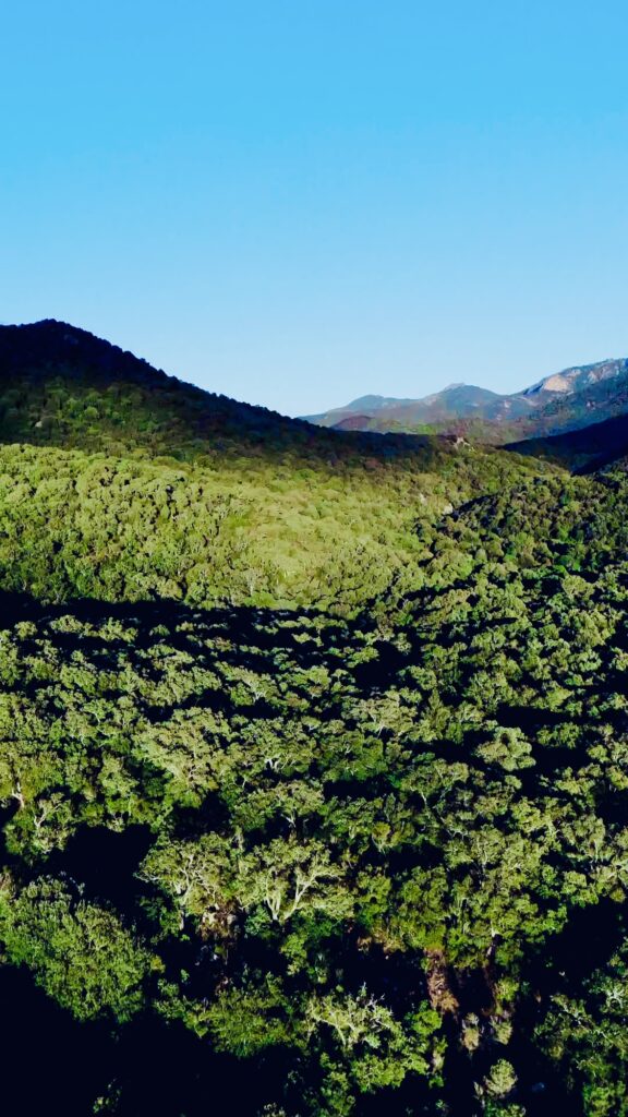 Cascate Is Fanebas: Experience in Sardinia