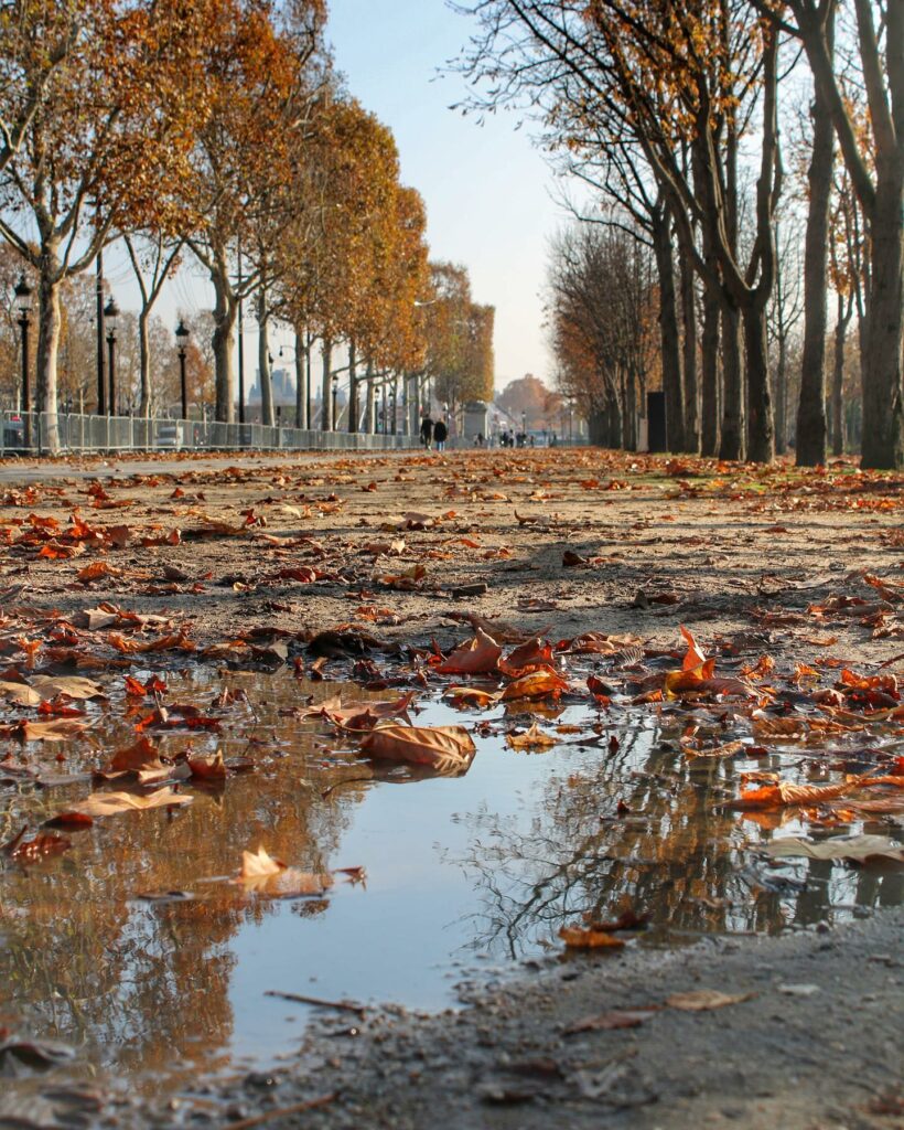 Champs-Élysées: Eleganza e shopping